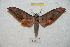  ( - BC-RBP 8433)  @13 [ ] Copyright (2014) Ron Brechlin Research Collection of Ron Brechlin