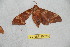  ( - BC-RBP 10598)  @12 [ ] Copyright (2017) Ron Brechlin Research Collection of Ron Brechlin