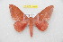  ( - BC-RBP 10643)  @14 [ ] Copyright (2017) Ron Brechlin Research Collection of Ron Brechlin