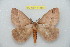 ( - BC-RBP 11888)  @11 [ ] copyright (2020) Ron Brechlin Research Collection of Ron Brechlin