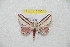  ( - BC-RBP 11916)  @11 [ ] copyright (2020) Ron Brechlin Research Collection of Ron Brechlin