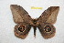  ( - BC-RBP 11945)  @11 [ ] copyright (2020) Ron Brechlin Research Collection of Ron Brechlin
