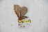  ( - BC-RBP 8483)  @12 [ ] Copyright (2014) Ron Brechlin Research Collection of Ron Brechlin