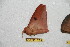  ( - BC-RBP 10699)  @11 [ ] Copyright (2017) Ron Brechlin Research Collection of Ron Brechlin