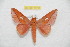 ( - BC-RBP 10735)  @11 [ ] Copyright (2018) Ron Brechlin Research Collection of Ron Brechlin