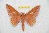 ( - BC-RBP 10736)  @11 [ ] Copyright (2018) Ron Brechlin Research Collection of Ron Brechlin