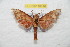  ( - BC-RBP 10746)  @11 [ ] Copyright (2018) Ron Brechlin Research Collection of Ron Brechlin