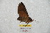  ( - BC-RBP 8518)  @12 [ ] Copyright (2014) Ron Brechlin Research Collection of Ron Brechlin