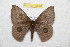 ( - BC-RBP 10781)  @11 [ ] Copyright (2018) Ron Brechlin Research Collection of Ron Brechlin