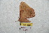  ( - BC-RBP 8662)  @12 [ ] Copyright (2014) Ron Brechlin Research Collection of Ron Brechlin