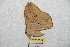 ( - BC-RBP 8665)  @11 [ ] Copyright (2014) Ron Brechlin Research Collection of Ron Brechlin