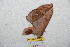  ( - BC-RBP 8673)  @12 [ ] Copyright (2014) Ron Brechlin Research Collection of Ron Brechlin