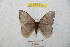  ( - BC-RBP 8711)  @13 [ ] Copyright (2014) Ron Brechlin Research Collection of Ron Brechlin
