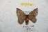  ( - BC-RBP 8728)  @13 [ ] Copyright (2014) Ron Brechlin Research Collection of Ron Brechlin