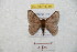  ( - BC-RBP 8749)  @13 [ ] Copyright (2014) Ron Brechlin Research Collection of Ron Brechlin