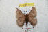  ( - BC-RBP 8751)  @13 [ ] Copyright (2014) Ron Brechlin Research Collection of Ron Brechlin