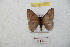  ( - BC-RBP 8752)  @13 [ ] Copyright (2014) Ron Brechlin Research Collection of Ron Brechlin