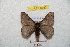  ( - BC-RBP 8753)  @14 [ ] Copyright (2014) Ron Brechlin Research Collection of Ron Brechlin