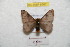  ( - BC-RBP 8767)  @14 [ ] Copyright (2014) Ron Brechlin Research Collection of Ron Brechlin