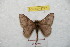  ( - BC-RBP 8777)  @13 [ ] Copyright (2014) Ron Brechlin Research Collection of Ron Brechlin