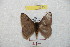  ( - BC-RBP 8783)  @13 [ ] Copyright (2014) Ron Brechlin Research Collection of Ron Brechlin