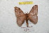  ( - BC-RBP 8801)  @14 [ ] Copyright (2014) Ron Brechlin Research Collection of Ron Brechlin