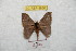  ( - BC-RBP 8836)  @12 [ ] Copyright (2014) Ron Brechlin Research Collection of Ron Brechlin