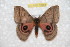  ( - BC-RBP 10863)  @11 [ ] Copyright (2017) Ron Brechlin Research Collection of Ron Brechlin