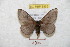  ( - BC-RBP 8865)  @13 [ ] Copyright (2014) Ron Brechlin Research Collection of Ron Brechlin