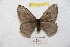  ( - BC-RBP 8944)  @14 [ ] Copyright (2015) Ron Brechlin Research Collection of Ron Brechlin