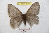  ( - BC-RBP 8948)  @12 [ ] Copyright (2015) Ron Brechlin Research Collection of Ron Brechlin