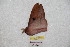  ( - BC-RBP 8994)  @13 [ ] Copyright (2015) Ron Brechlin Research Collection of Ron Brechlin