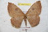  ( - BC-RBP 9010)  @14 [ ] Copyright (2015) Ron Brechlin Research Collection of Ron Brechlin