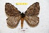  ( - BC-RBP 9012)  @14 [ ] Copyright (2015) Ron Brechlin Research Collection of Ron Brechlin