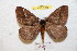  ( - BC-RBP 9015)  @11 [ ] Copyright (2015) Ron Brechlin Research Collection of Ron Brechlin