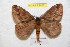  ( - BC-RBP 9016)  @11 [ ] Copyright (2015) Ron Brechlin Research Collection of Ron Brechlin