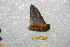  ( - BC-RBP 10908)  @12 [ ] Copyright (2017) Ron Brechlin Research Collection of Ron Brechlin
