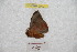  ( - BC-RBP 9043)  @13 [ ] Copyright (2015) Ron Brechlin Research Collection of Ron Brechlin