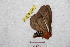  ( - BC-RBP 9089)  @12 [ ] Copyright (2015) Ron Brechlin Research Collection of Ron Brechlin