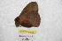  ( - BC-RBP 9093)  @12 [ ] Copyright (2015) Ron Brechlin Research Collection of Ron Brechlin
