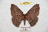  ( - BC-RBP 9101)  @12 [ ] Copyright (2015) Ron Brechlin Research Collection of Ron Brechlin