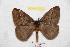  ( - BC-RBP 9115)  @12 [ ] Copyright (2015) Ron Brechlin Research Collection of Ron Brechlin