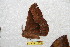  ( - BC-RBP 10818)  @12 [ ] Copyright (2018) Ron Brechlin Research Collection of Ron Brechlin