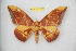  ( - BC-RBP 12143)  @11 [ ] copyright (2021) Ron Brechlin Research Collection of Ron Brechlin