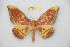  ( - BC-RBP 12144)  @11 [ ] copyright (2021) Ron Brechlin Research Collection of Ron Brechlin