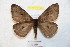  ( - BC-RBP 9158)  @14 [ ] Copyright (2015) Ron Brechlin Research Collection of Ron Brechlin