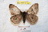  ( - BC-RBP 9160)  @13 [ ] Copyright (2015) Ron Brechlin Research Collection of Ron Brechlin