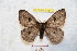  ( - BC-RBP 9161)  @14 [ ] Copyright (2015) Ron Brechlin Research Collection of Ron Brechlin