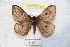  ( - BC-RBP 9163)  @14 [ ] Copyright (2015) Ron Brechlin Research Collection of Ron Brechlin