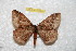  ( - BC-RBP 10940)  @11 [ ] Copyright (2018) Ron Brechlin Research Collection of Ron Brechlin